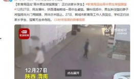 渭南网友爆料视频,视频揭露惊人一幕